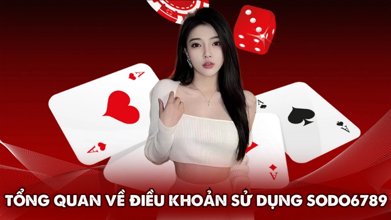 Tổng quan về điều khoản sử dụng Sodo6789