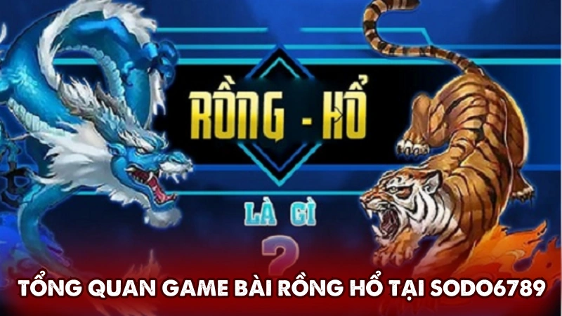 Tổng quan game bài Rồng Hổ tại Sodo6789