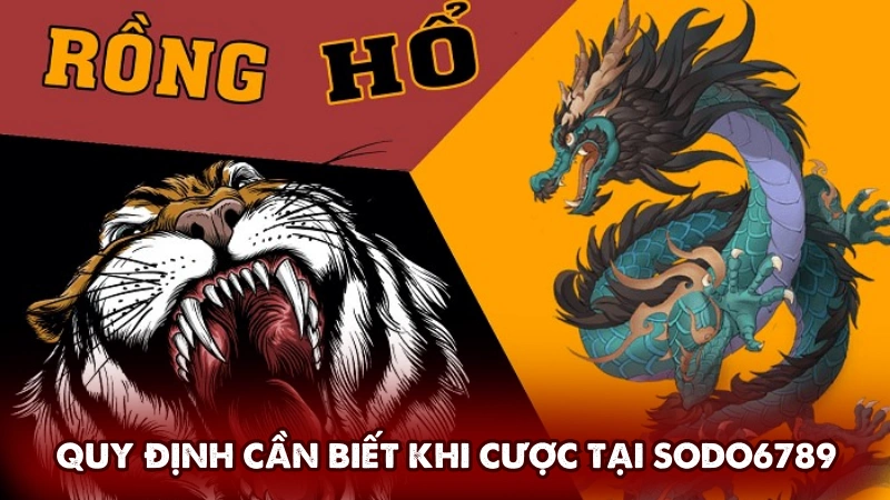 Quy định cần biết khi cược tại Sodo6789