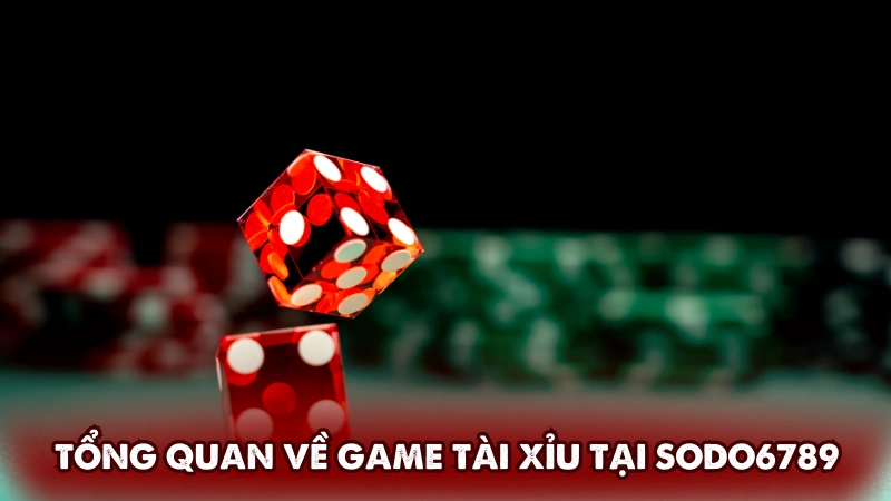 Tổng quan về game tài xỉu tại Sodo6789