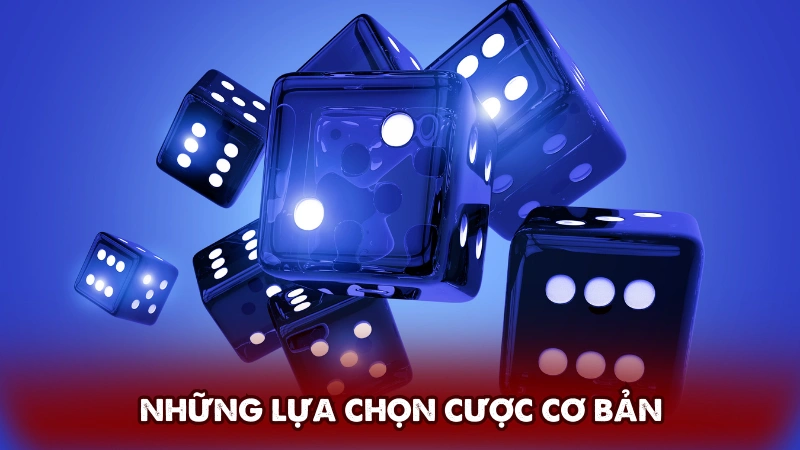 Những lựa chọn cược cơ bản