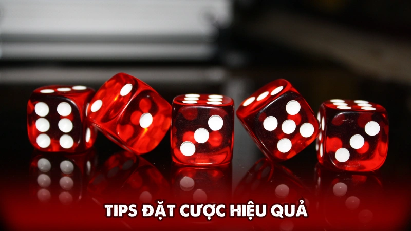 Tips đặt cược hiệu quả