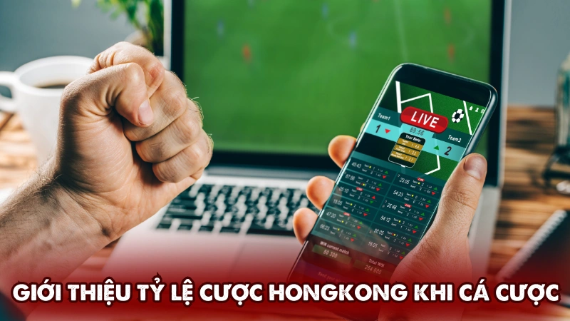 Giới thiệu tỷ lệ cược Hongkong khi cá cược