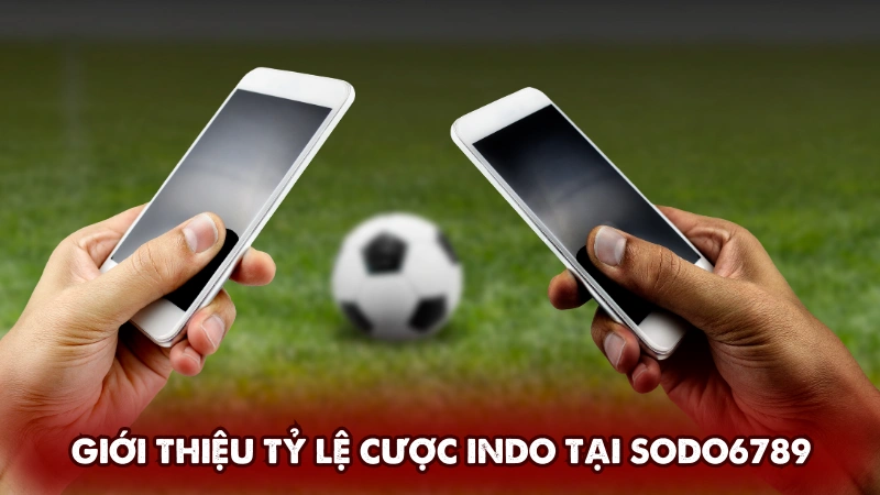 Giới thiệu tỷ lệ cược Indo tại Sodo6789