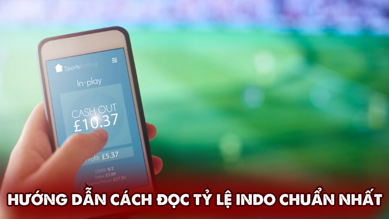 Hướng dẫn cách đọc tỷ lệ Indo chuẩn nhất