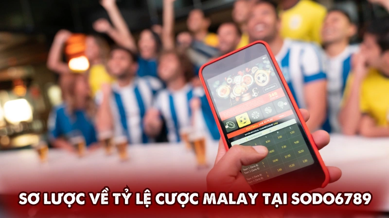 Sơ lược về tỷ lệ cược Malay tại Sodo6789