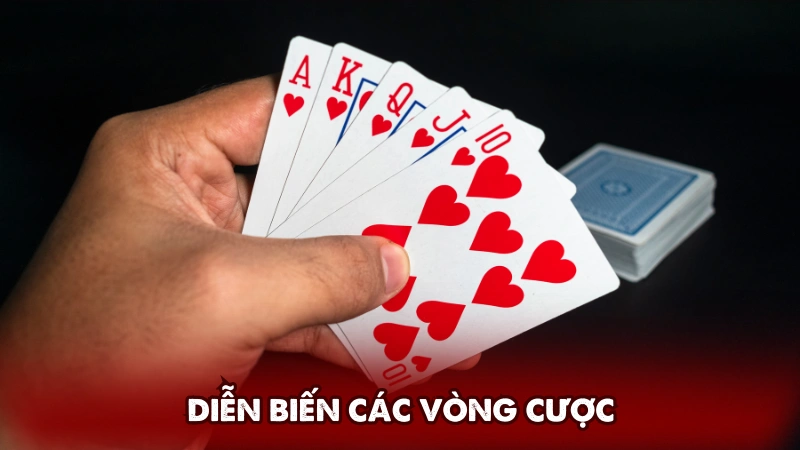 Diễn biến các vòng cược
